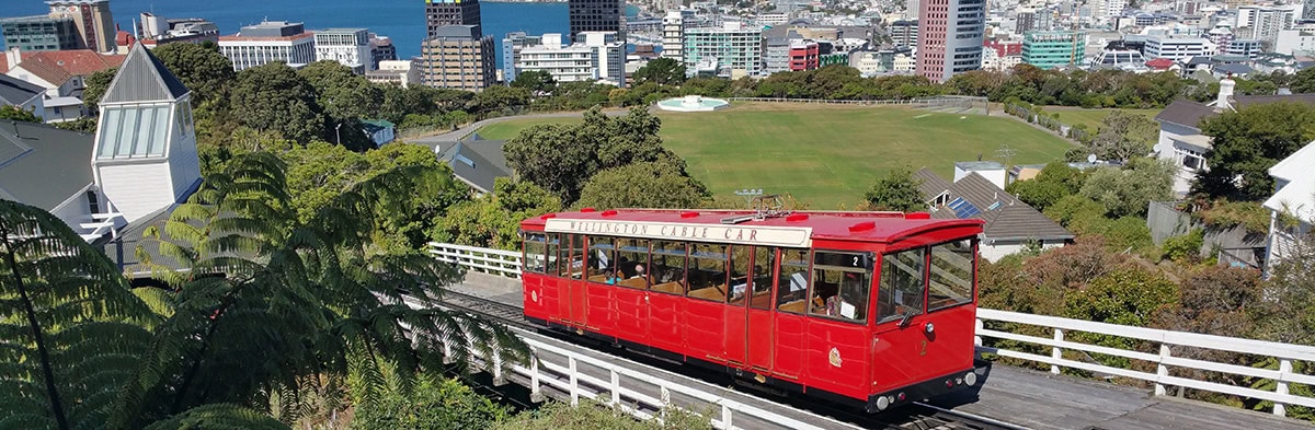 Wellington Region Restaurants